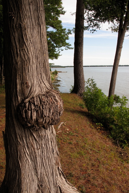 Loc Haven Log Cabins Baileys Harbor Wi